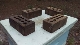 14563485_10208656234738129_2823862236596903987_n
