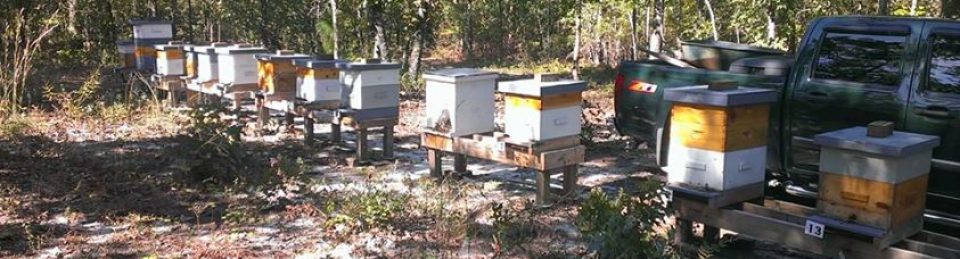 Beekeeping365
