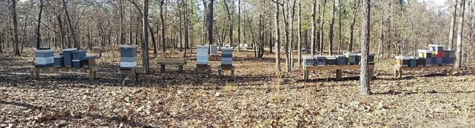Beekeeping365