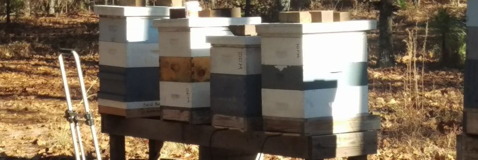 Beekeeping365
