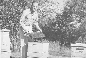 harrylaidlawwithbees