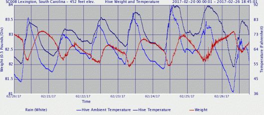 hive_graph3wdownload