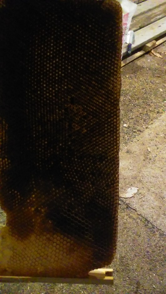 20170325_213213