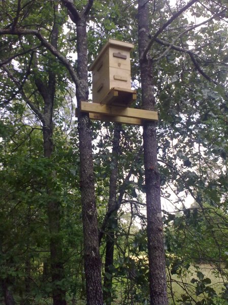bee_journal_html_dd42818