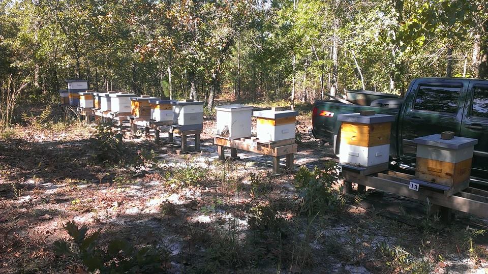 pic 5