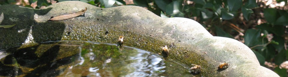 Beekeeping365