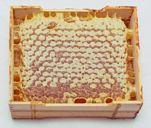 honey in comb