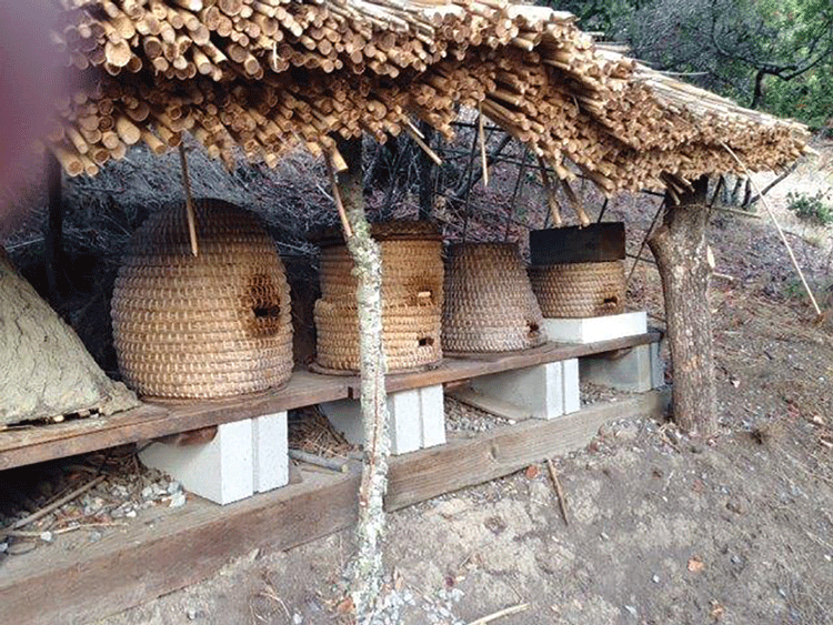 skeps