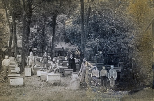 beekeeper_image-1