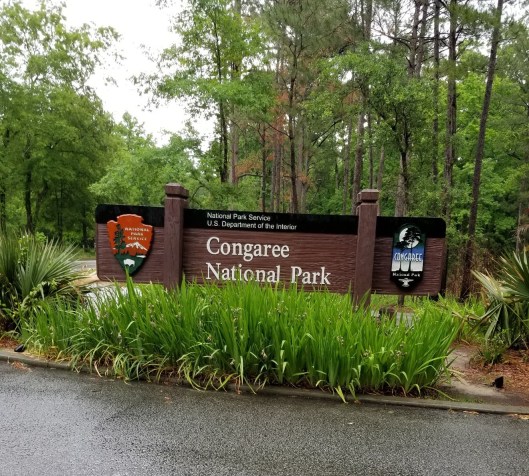 dave-congaree-nat-park.jpg