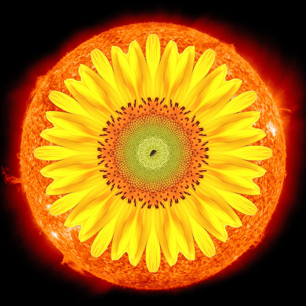 19278748661_7b8ab9ba60_b