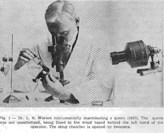 L.R.Watson